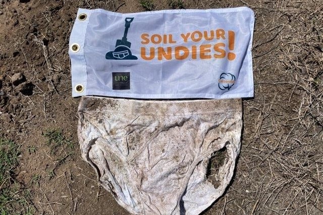 Underpants experiments are taking place in Australian paddocks and gardens  — all in the name of soil health - ABC News