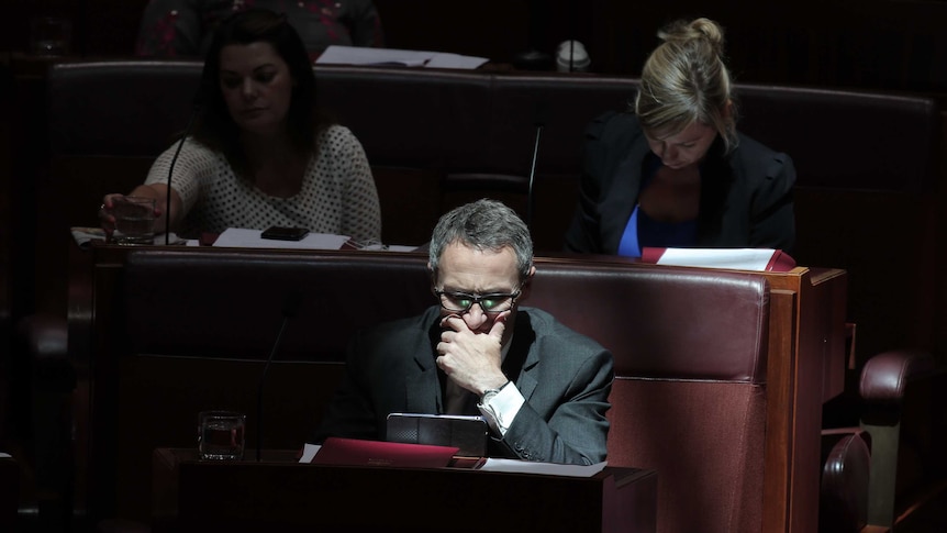 Di Natale is on his tablet, sitting in front of his colleagues Hanson-Young and Waters.