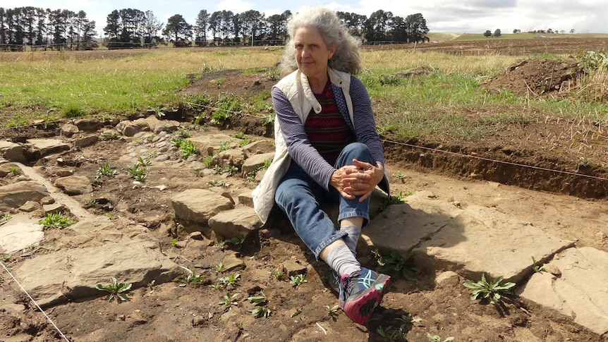 A woman with long grey hair sits on sandstone blocks at an archaeology dig in a paddock.