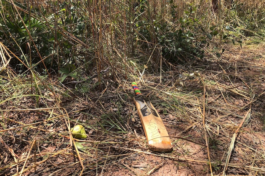 A cricket bat and a piece fruit lay by the roadside where a car rolled and killed three people.