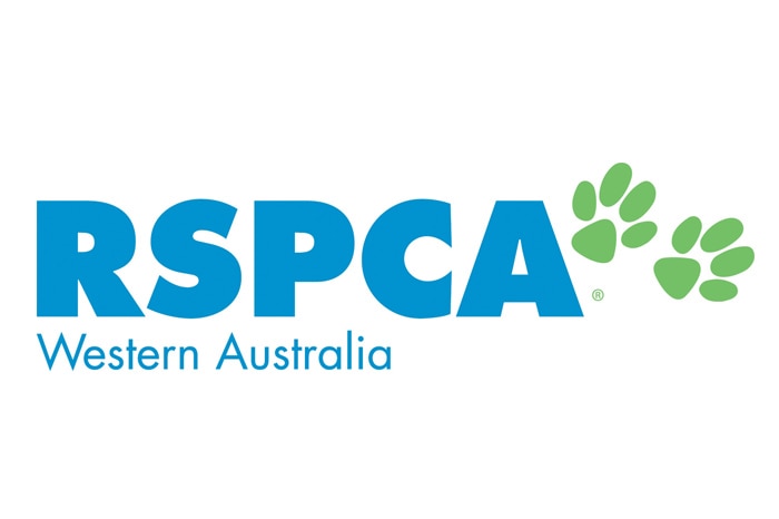 The RSPCA has welcomed the two-year custodial sentence handed to Kyel Parkes, who beheaded a puppy during a domestic dispute.