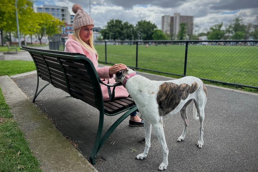 A woman with blonde hair and a beanie on sits on a park bench and pats a greyhound, with a city oval in the background.