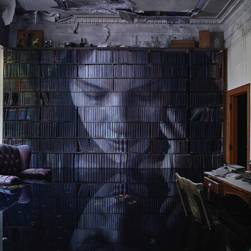 A woman's face is painted on the spines of books on a bookshelf, in a flooded library.