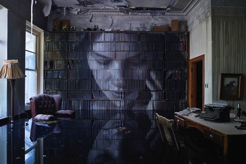 A woman's face is painted on the spines of books on a bookshelf, in a flooded library.