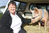 Tasmanian businesswoman Jan Cameron poses with a pig