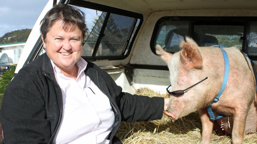 Tasmanian businesswoman Jan Cameron poses with a pig