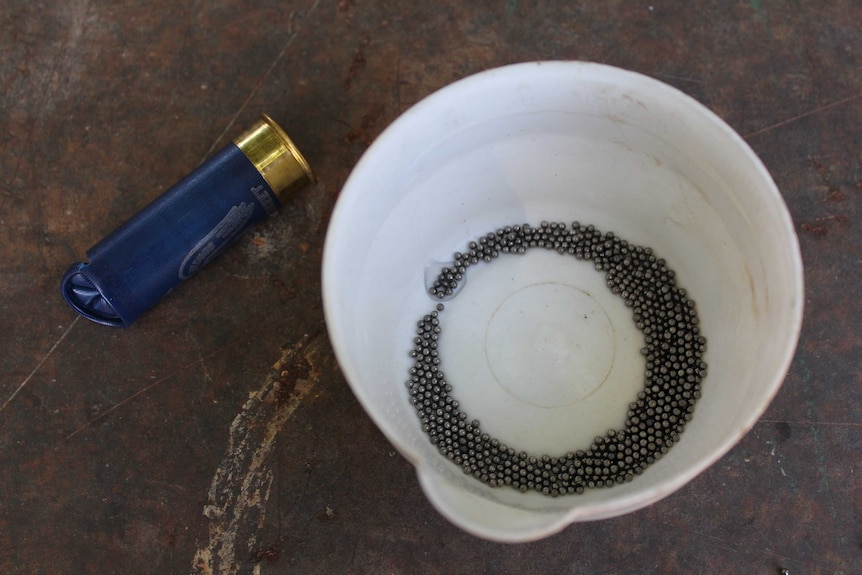 Lead pellets in a plastic container