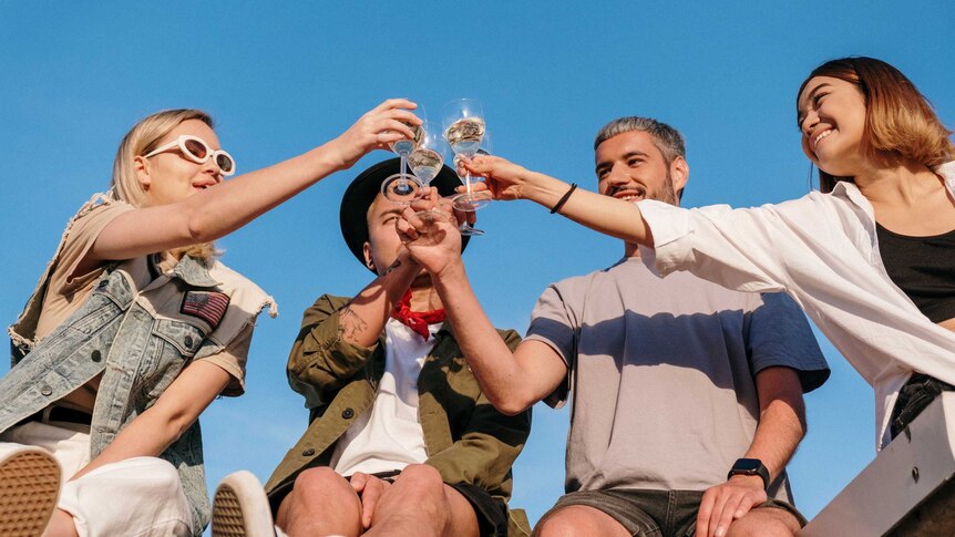 Two women and two men toast at an outdoor party, a summer barbecue that caters for vegans.