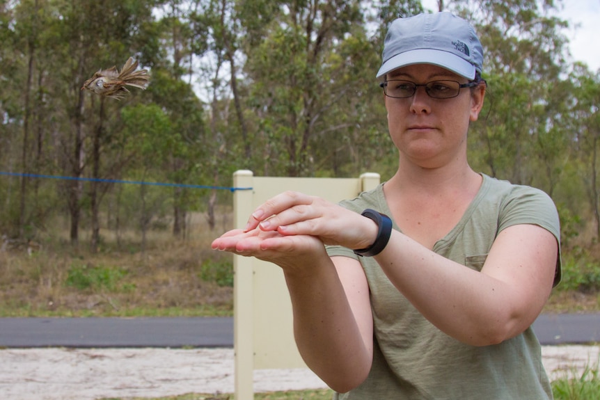 Student Vicky Austen lets a brown thornbill go