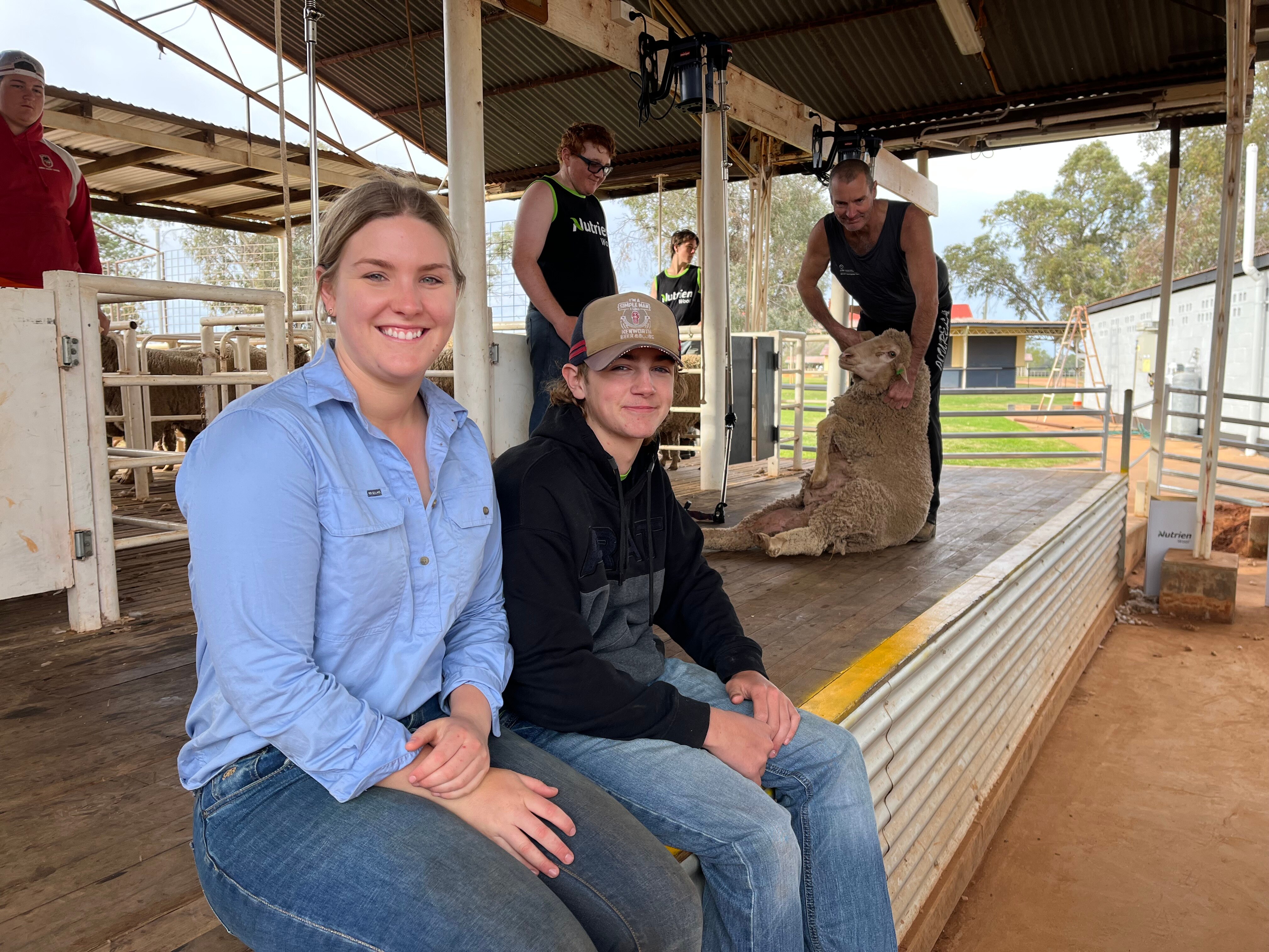 Blue Light Shearing in outback Queensland offering skills and pathways