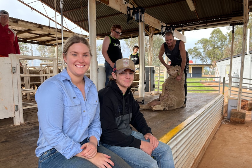 A woman in a blue shirt and jeans sits in a shearing shed next to a female high school students. Sheep being shorn in background