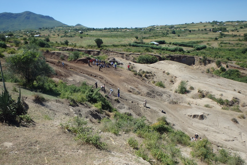 Aerial view of the Nyayanga archaeological site