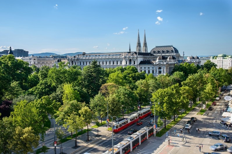 Trams travel up and down a tree-lined street in Vienna, Austria.