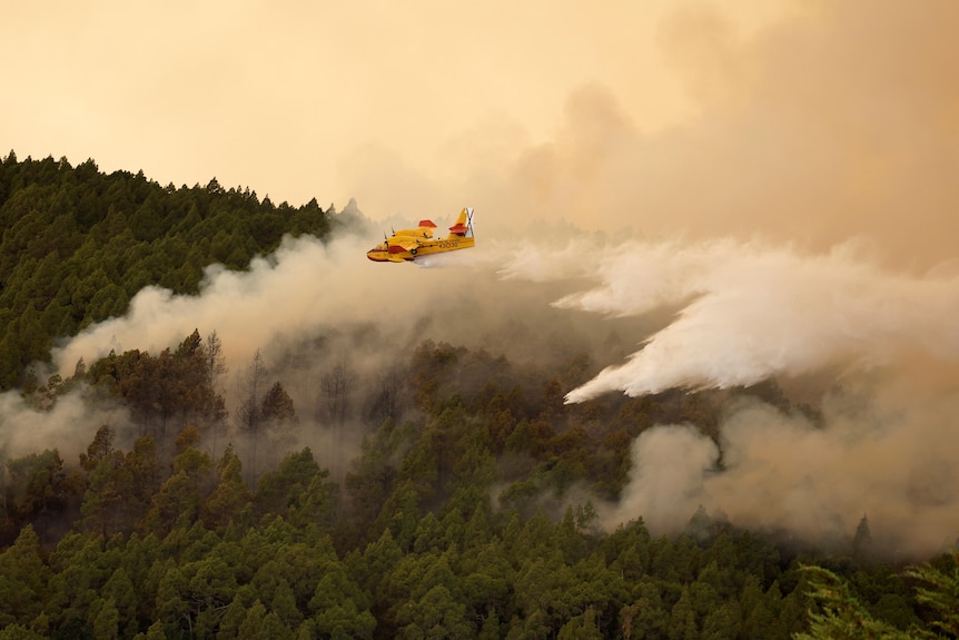A firefighter plane discharges water over a forest fire.