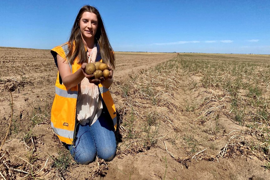 A woman holding up potatoes in a paddock.
