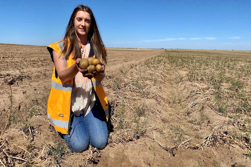 A woman holding up potatoes in a paddock.