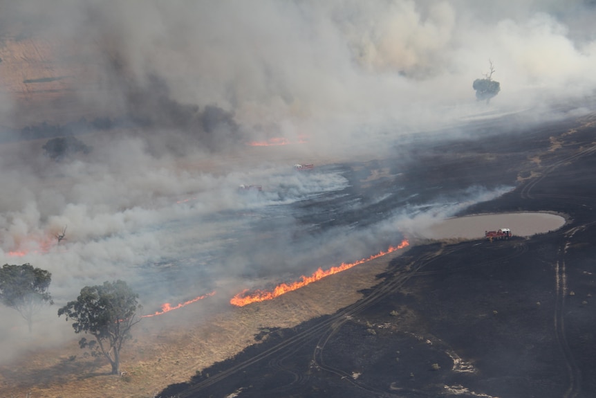 a large scale bushfire