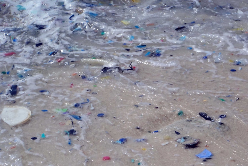 Plastic fragments wash up on Christmas Island