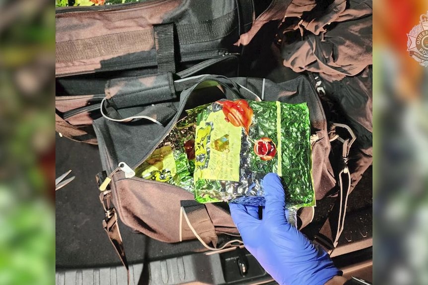 Police vision shows a latex-clad glove holding a package containing a green substance. A bag below contains more of the packages