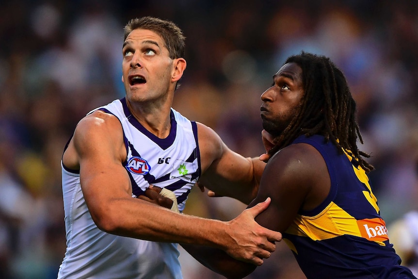 Dockers ruckman Aaron Sandilands and Eagle Nic Naitanui look upwards as they contest a boundary throw-in.