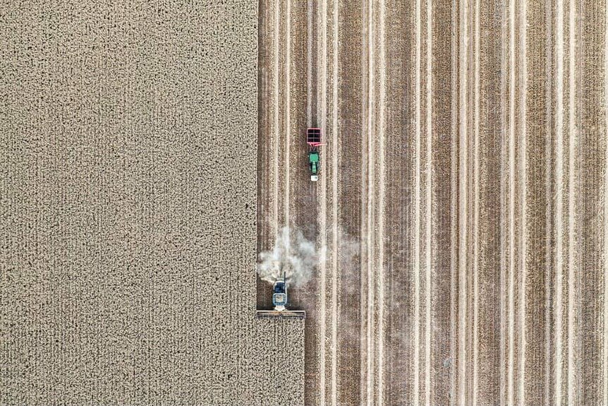A drone image of a crop halfway through harvest, with full crops on left and bare field on right