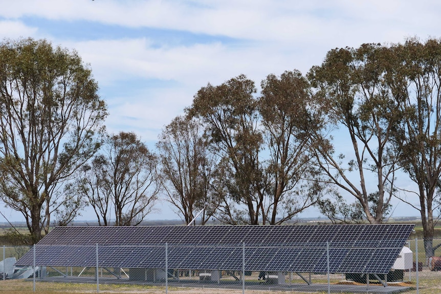 Standalone solar panels in a paddock near some trees