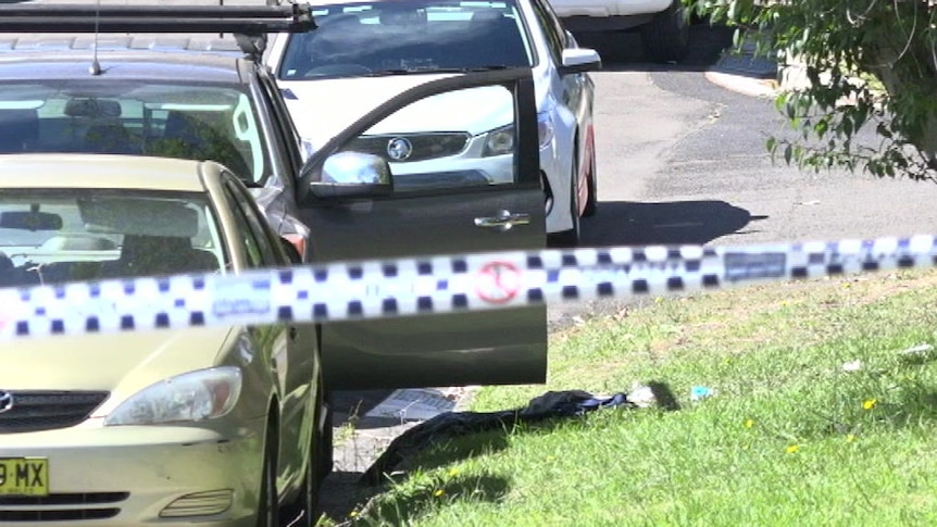 Sydney man kills himself after pointing gun at police