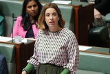 A woman wearing a long sleeved pink and khaki top stands in the House of Representatives. 