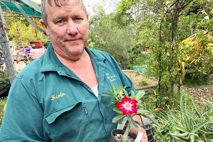 A man wearing a green workers shirt with the name Kevin on it holds a Desert Rose in a pot.