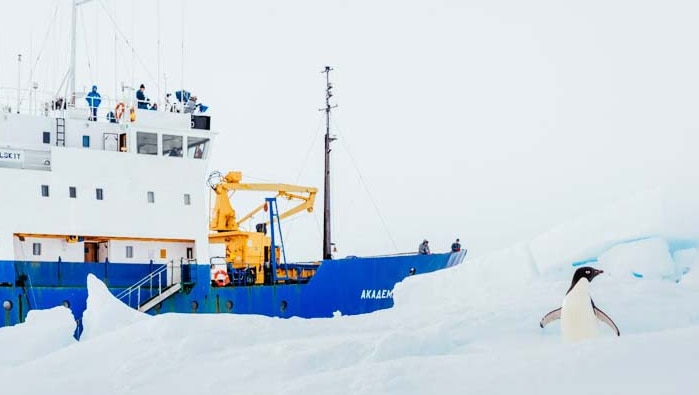 Stranded ship stuck in ice in Antarctica
