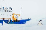 Stranded ship stuck in ice in Antarctica