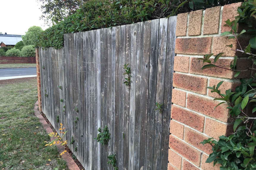 A wooden front fence outside a home in Dickson.