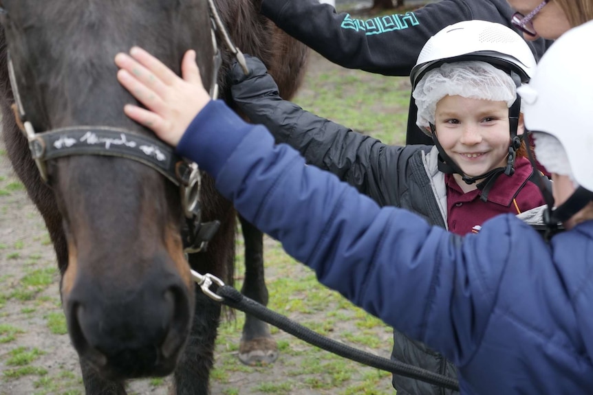 Colour photo of a horse being patted by primary school students