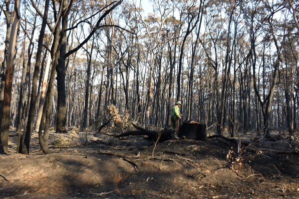 Authorities at the Lancefield fire ground