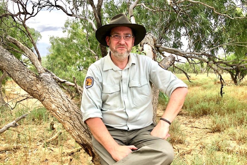 A man in a NSW Parks and Wildlife uniform sits on a tree branch.