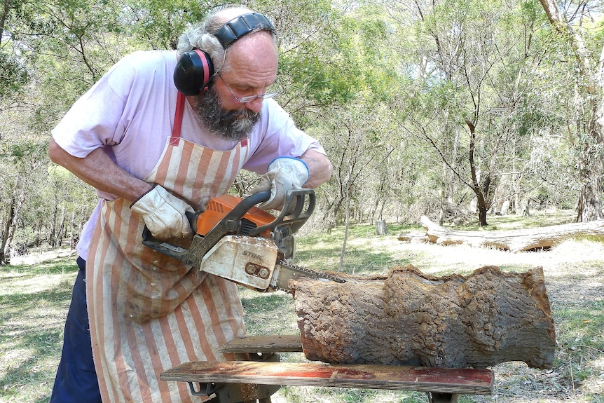 Grey haired man wearing earphones, holding chainsaw onto wooden log