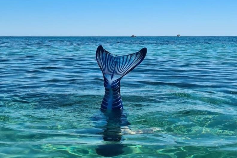 A mermaiding tail peaks out above the water, in the ocean.