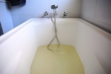 Discoloured, yellow water pours from the tap into a bath.