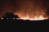 Trees are silhouetted against flames in the distance.