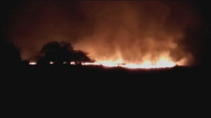 Trees are silhouetted against flames in the distance.