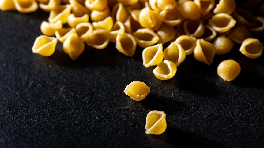 A yellow shell-shaped pasta strewn across on a black surace.