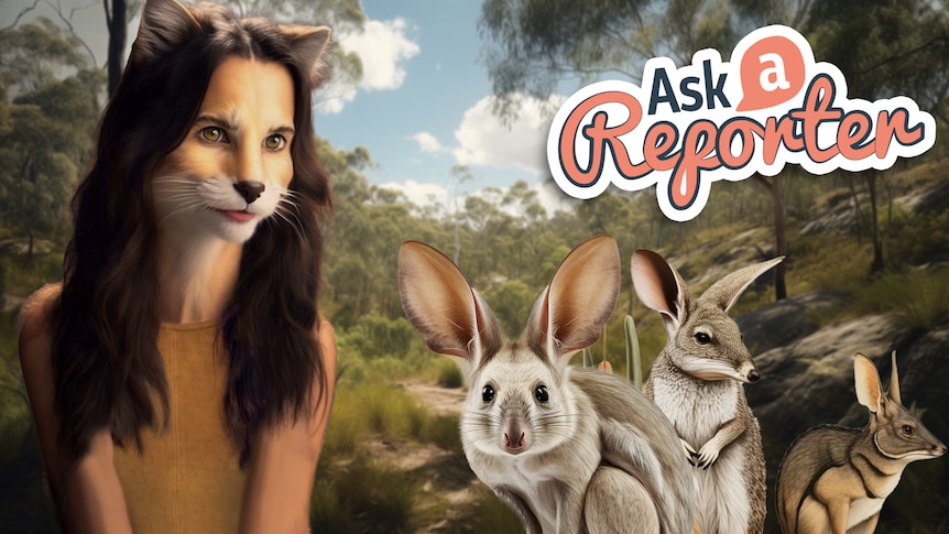 An AI creation of Justina as a cat in an Australian outback scene with small Australian native mammals like bilbys.