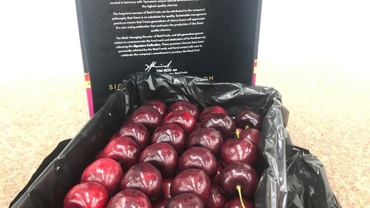 a box of large cherries grown in Southern Tasmania