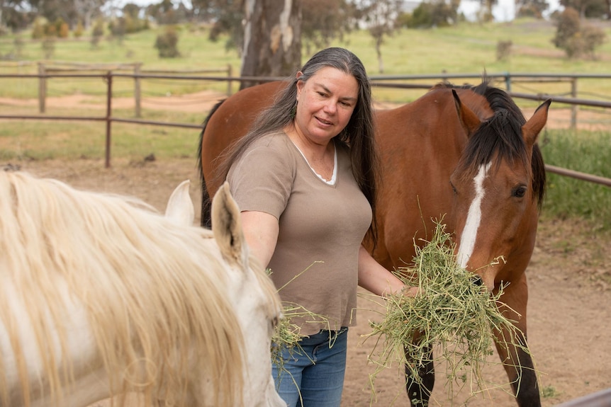 A woman feeds two horses hay