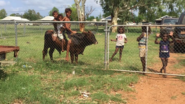 Szczęśliwe dzieci w odległej społeczności siedzące na krowie i przy płocie.