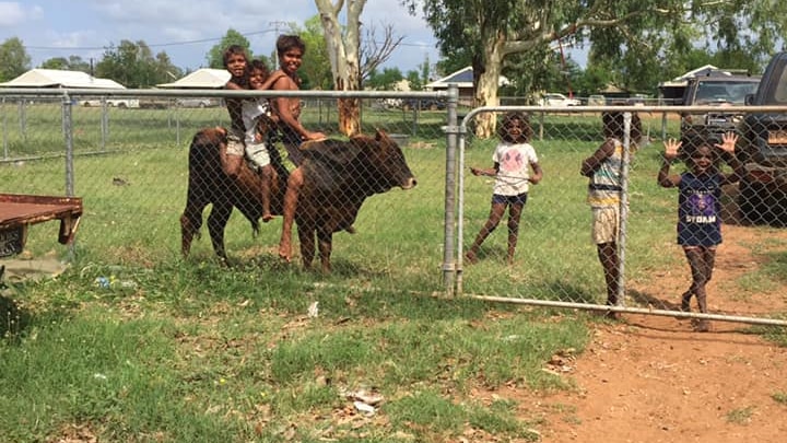 Happy kids in a remote community sit on a cow and by a fence.