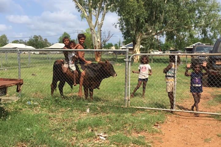 Happy kids in a remote community sit on a cow and by a fence.