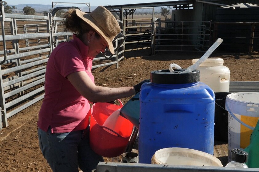A woman mixes milk powder on the back of her ute.