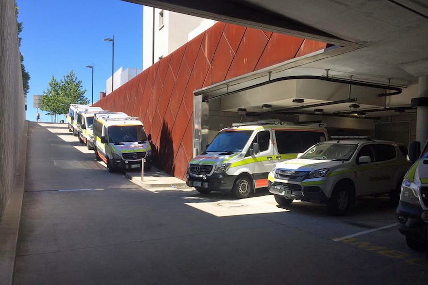Ambulances line up at Royal Hobart Hospital