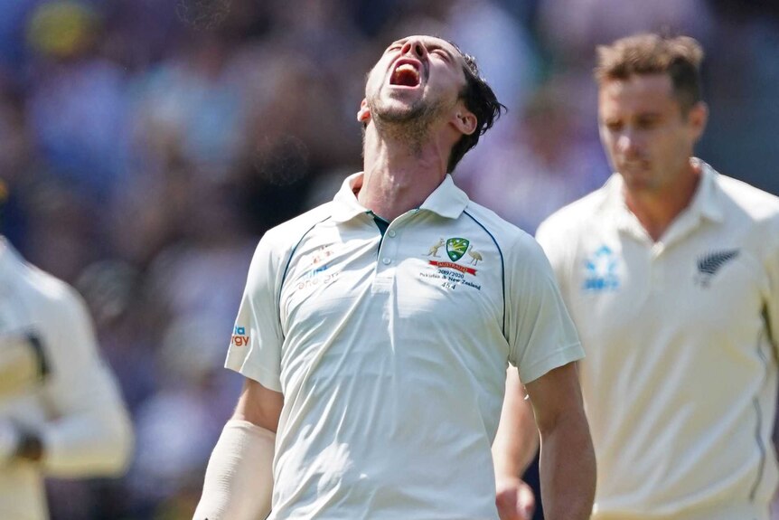 Travis Head roars and looks up at the sky after scoring a Test century at the MCG